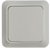 Выключатель BOLLETO 1кл, о/у, 7021, IP20, IN HOME 4680005959747 