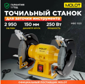 Станок точильный MOLOT MBG 1525, 250Вт, 150х12.7х16мм коробка MBG152500027