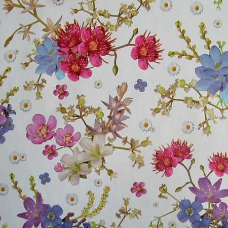 Клеенка Camelia 140 см арт. 567/9 Алиса