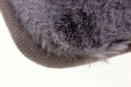 7795