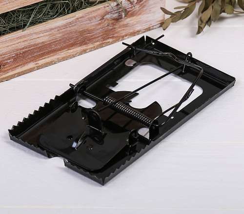 Крысоловка "Greengo" 9х16.5х1.5см  803563