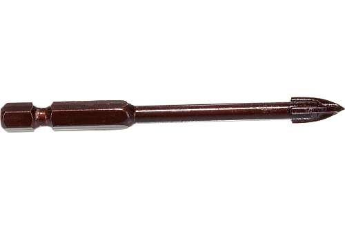 55153006