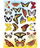 Наклейка интерьерная Декоретто AI 4001 Садовые бабочки  